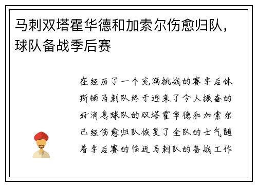 马刺双塔霍华德和加索尔伤愈归队，球队备战季后赛